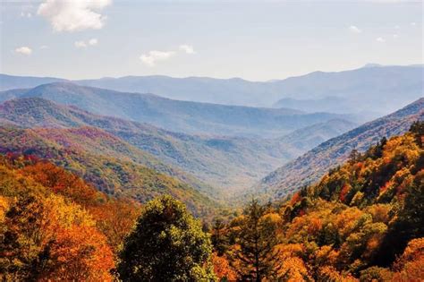 How When And Where To See The Best Smoky Mountains Fall Colors Images