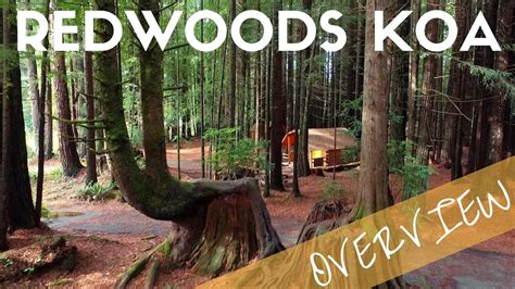 Maybe you would like to learn more about one of these? Crescent City Redwoods KOA Campground Overview | Camping ...