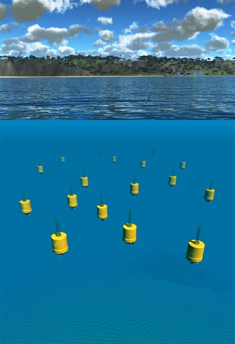 Tiny Underwater Robots Offer Unprecedented View Of Worlds Oceans