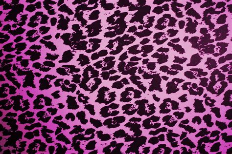 Hd Rainbow Cheetah Print Wallpapers Wallpaper Cave