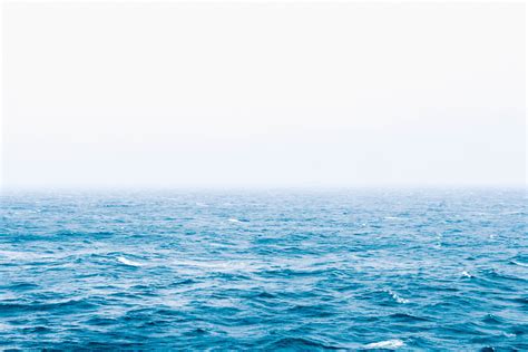 배경 화면 바다 연안 수평선 대양 웨이브 표면 대기 현상 바람 파도 북극해 해양 포유류 5184x3456
