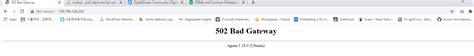 Adonisjs Cannot Resolve Nginx 502 Bad Gateway And Error Of Connect