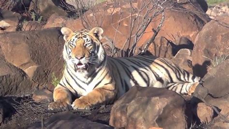 Tiger Canyon In Zuid Afrika 2016 Youtube