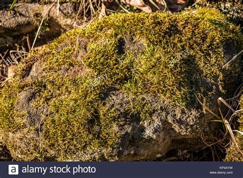 Rocks And Grass Hi Res Stock Photography And Images Alamy