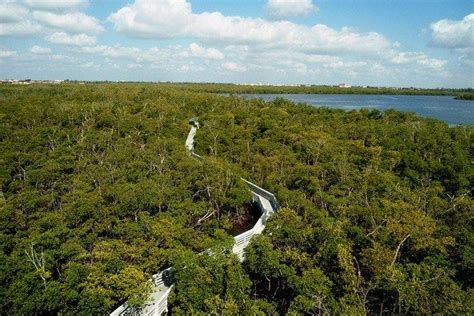 anne kolb nature center is one of the very best things to do in fort lauderdale