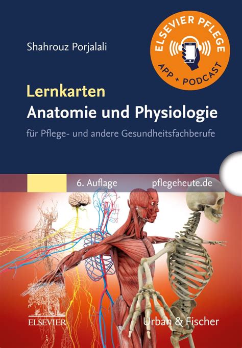 Lernkarten Anatomie Und Physiologie 9783437260223 Elsevier Gmbh