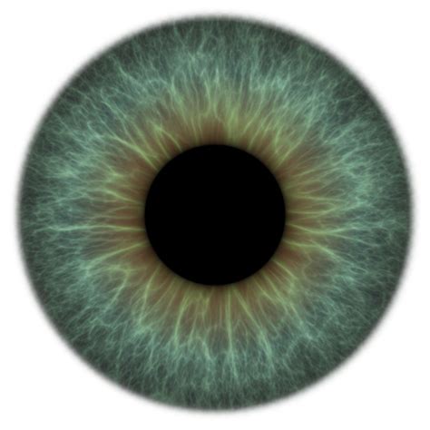 Iris Texture Png At 150ppi On Transparent Eye Texture Eye Drawing