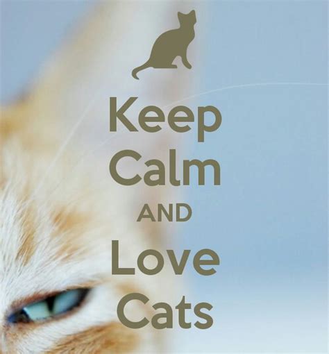 Keep Calm And Love Cats Meow Pinterest