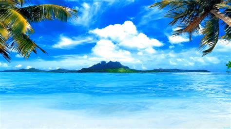 Beach Moving Background  Clip Art Library