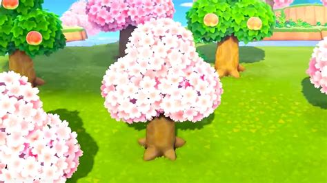 Cherry Blossom Season In Animal Crossing New Horizons Dates Features
