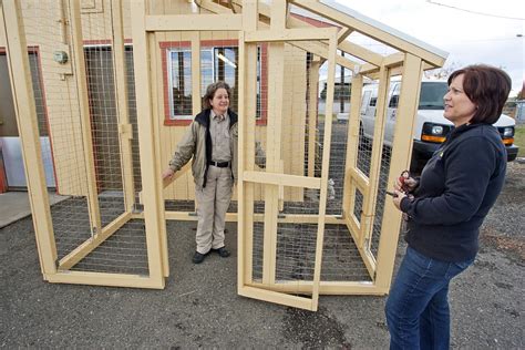 Ellensburg Animal Shelter Gets New Outdoor Cat Run News