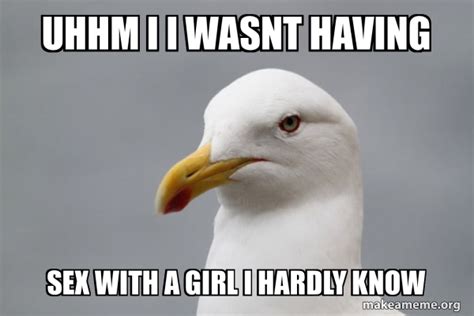 Uhhm I I Wasnt Having Sex With A Girl I Hardly Know Stuff That Didn T Happen Seagull Make A Meme