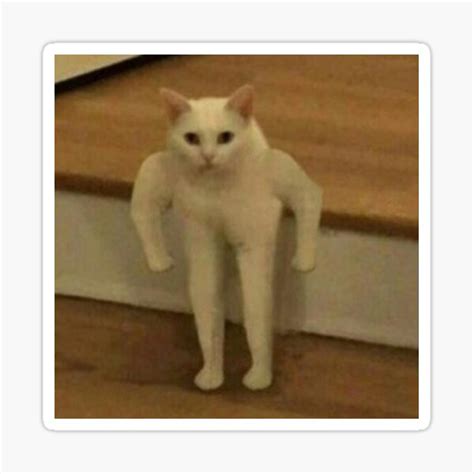 Standing Cat Meme Had To Do It To Em Sticker For Sale By Charlottetsui Redbubble
