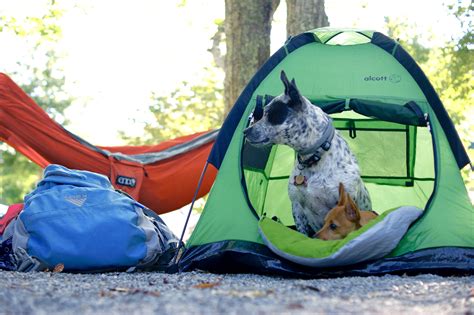 Dog Gear Reviews And Camping Tips By Lifewithmutts Dog Tent Road