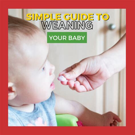 A Simple Guide To Weaning Your Baby Kiddycharts