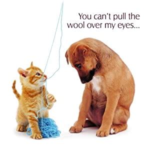 You can't pull the wool over my eyes. share £ 1 99 free uk delivery in stock sold by