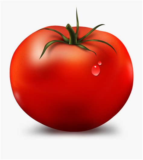 Tomato Clipart Png 10 Free Cliparts Download Images On Clipground 2024