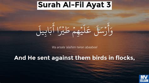 Surah Fil Ayat 1 1051 Quran With Tafsir My Islam