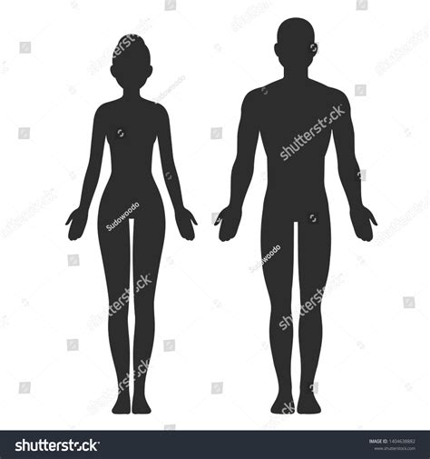 male female body silhouette template isolated stock vector royalty free 1404638882 shutterstock