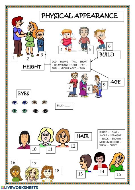 Physical Appearance Interactive Worksheet Grammar Book English