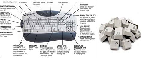 How many function keys are on a keyboard? How Many Type of Keys on a Keyboard?