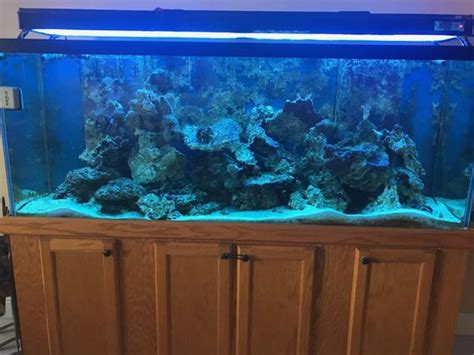 150 Gallon Saltwater Aquarium For Sale In Hialeah Fl Offerup