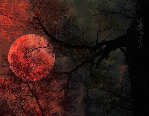 Blood Moon Photo Surreal Full Moon Art Print Halloween Creepy