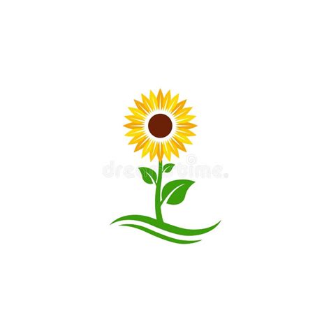 Sunflower Vector Icon Design Stock Vector Illustration Of Vector