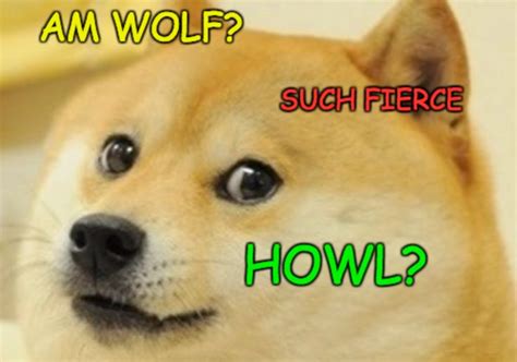 Are Dogs Really 999 Wolf Doge Meme Cat Memes Doge