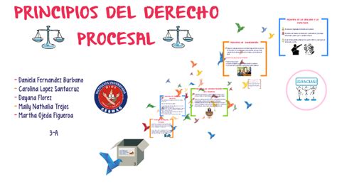 Principios Del Derecho Procesal By Daniela Fernandez On Prezi