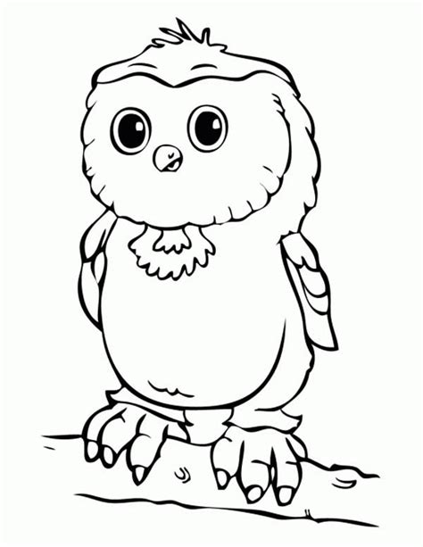 Baby Owl Coloring Page Download And Print Online Coloring Pages For