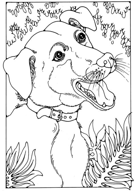 Check spelling or type a new query. Disegno da colorare cane meticcio - Cat. 28200.