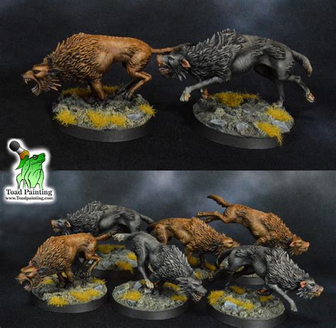 Pack Of Fell Wargs I Painted For A Lotr Project Rwarhammer