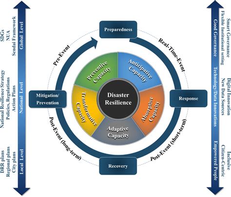 Schematic Representation Of Disaster Resilience Capacities Within The