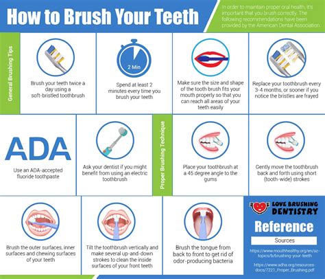 Infographic How To Brush Your Teeth Infographicbee Com Riset