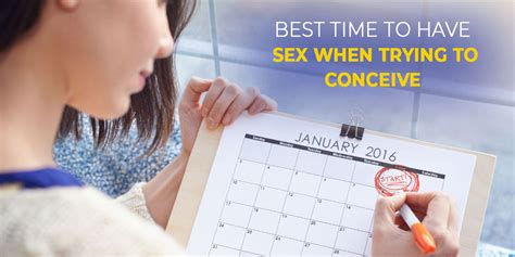 best time to have sex when trying to conceive zeeva fertility
