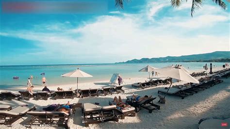 Koh Samui Thailand Beach Webcam Youtube