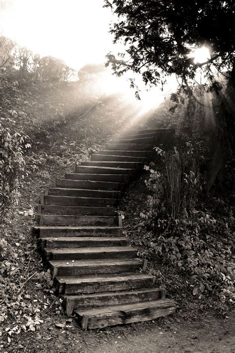 Learn stairway to heaven faster with songsterr plus plan! The Enigma of Consciousness | Stairway to heaven ...