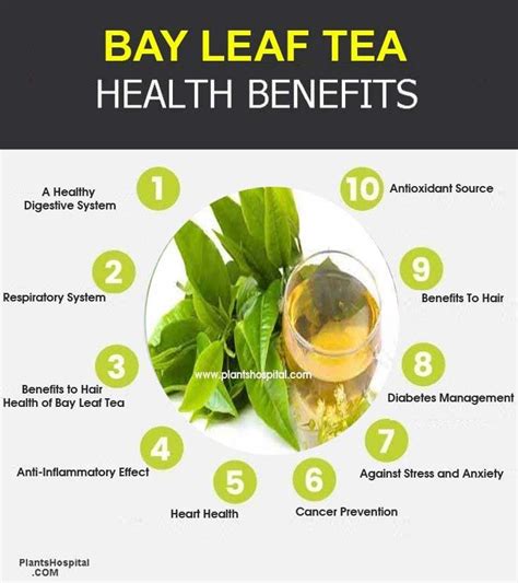 Bay Leaf Tea Health Benefits Uses Side Effects Warnings And More