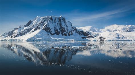 Fun And Fascinating Facts About Antarctica Travellyclub