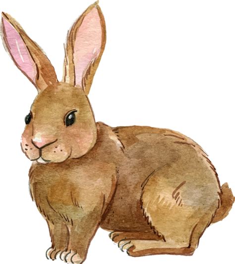 Rabbit Rabbit Hare Easter Bunny Clipart - Rabbit Clipart ...