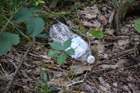Stop Polluting The Preserves With Litter Forest Preserve District Of