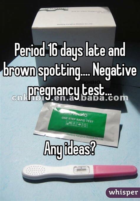 Period 16 Days Late And Brown Spotting Negative Pregnancy Test