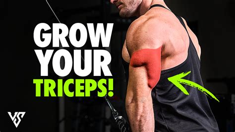 Form Tips For Better Triceps Our 5 Favorite Workouts That Hits All