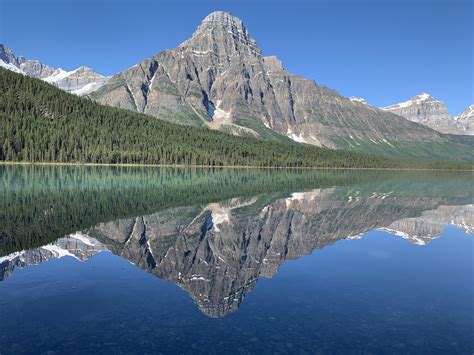Postcard Image Bow Lake Banff National Park 1242 X 2688 Oc R