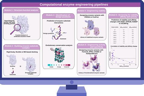 Frontiers Computational Enzyme Engineering Pipelines For Optimized