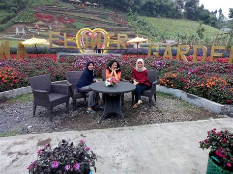 Sahabat, di sukasari ada spot wisata baru, tepatnya di pandeglang, namanya taman bunga bpi. Alamat Taman Bunga Pandeglang : Taman Rekreasi Selecta ...