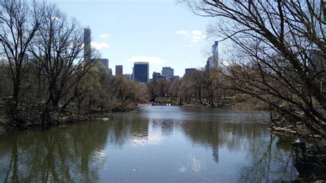 All movies begin at dusk. Central Park revisited in Spring : New York City | Visions ...