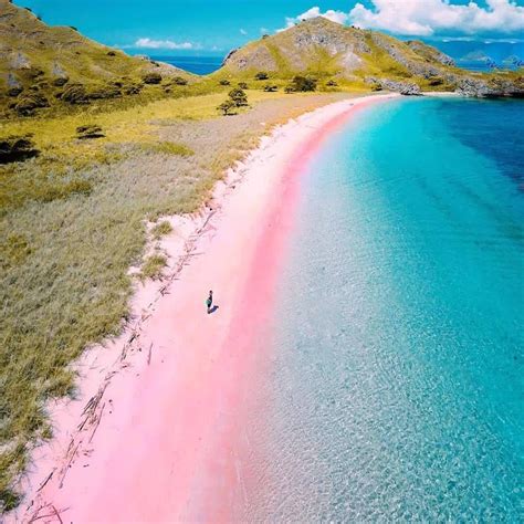Pink Beach Komodo Island 💖 Places To Travel Beautiful Places