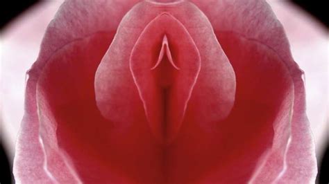 Female Orgasms Are Not Puzzling Enigmas Study Helpfully